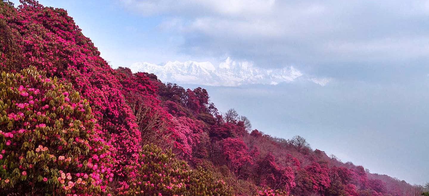 Spring Adventure Tours in Nepal: A Season of Excitement and Bloom