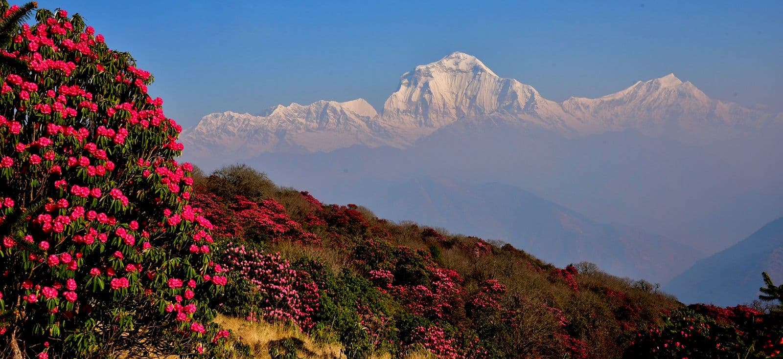 Luxury Trekking and Tours in Nepal During April