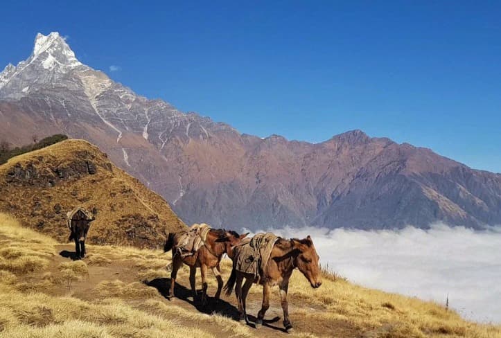 Luxury Travel with a Licensed Guide in Nepal & Bhutan