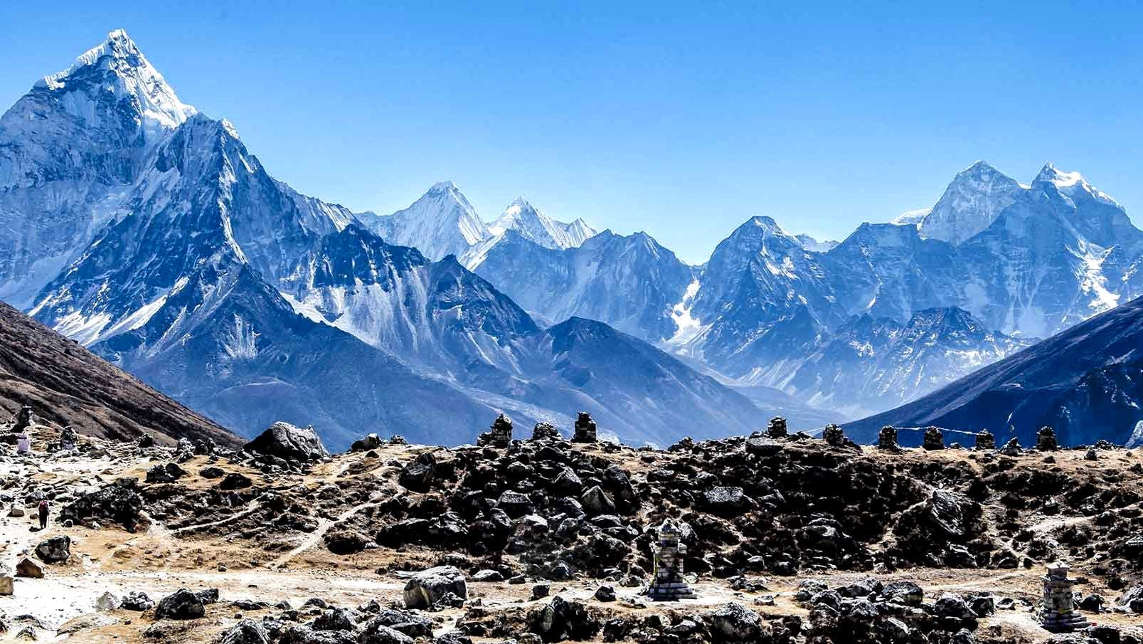 The flora and fauna of the Everest Region - A trekkers guide to wildlife
