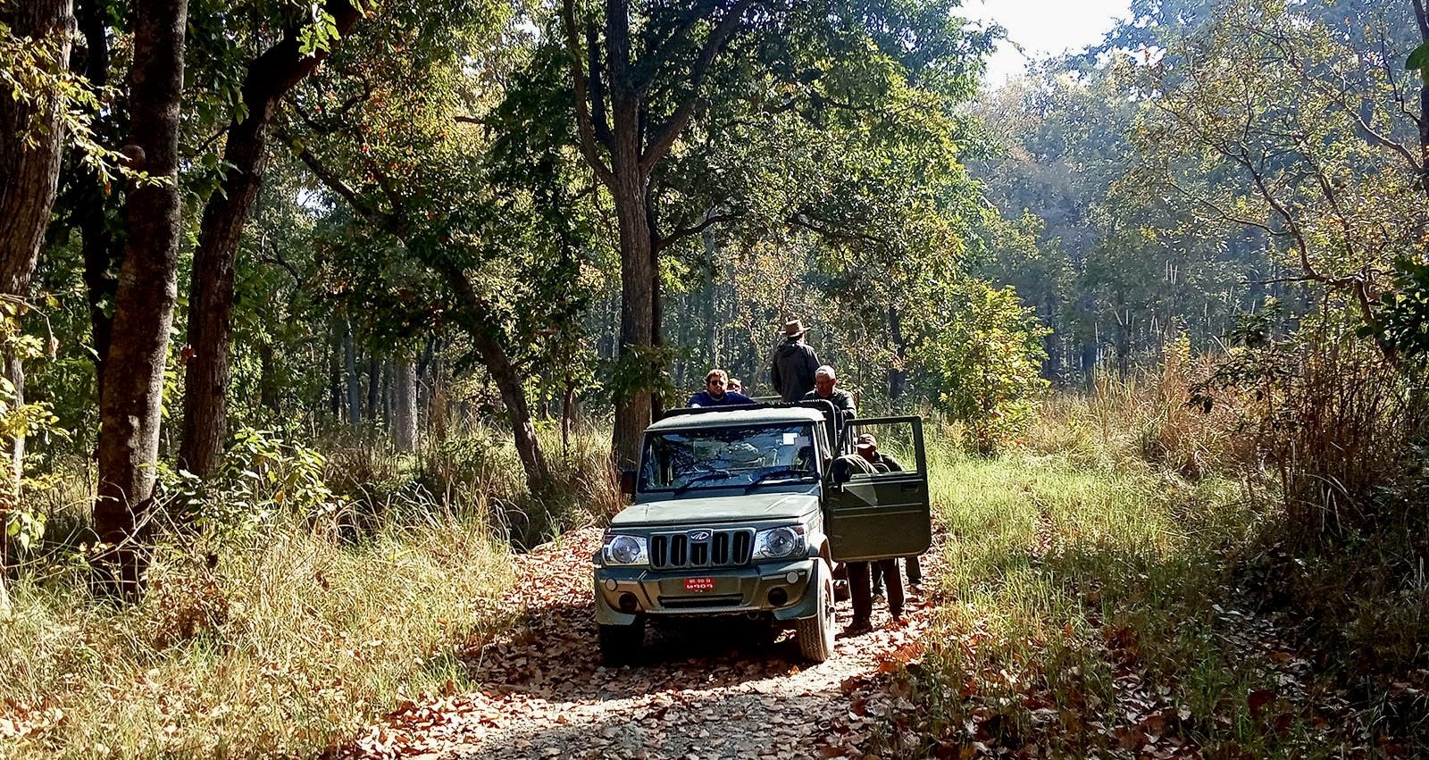 Bardia National Park safari