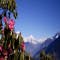 Nepal Poon Hill Trek and Bhutan Highlights Tour