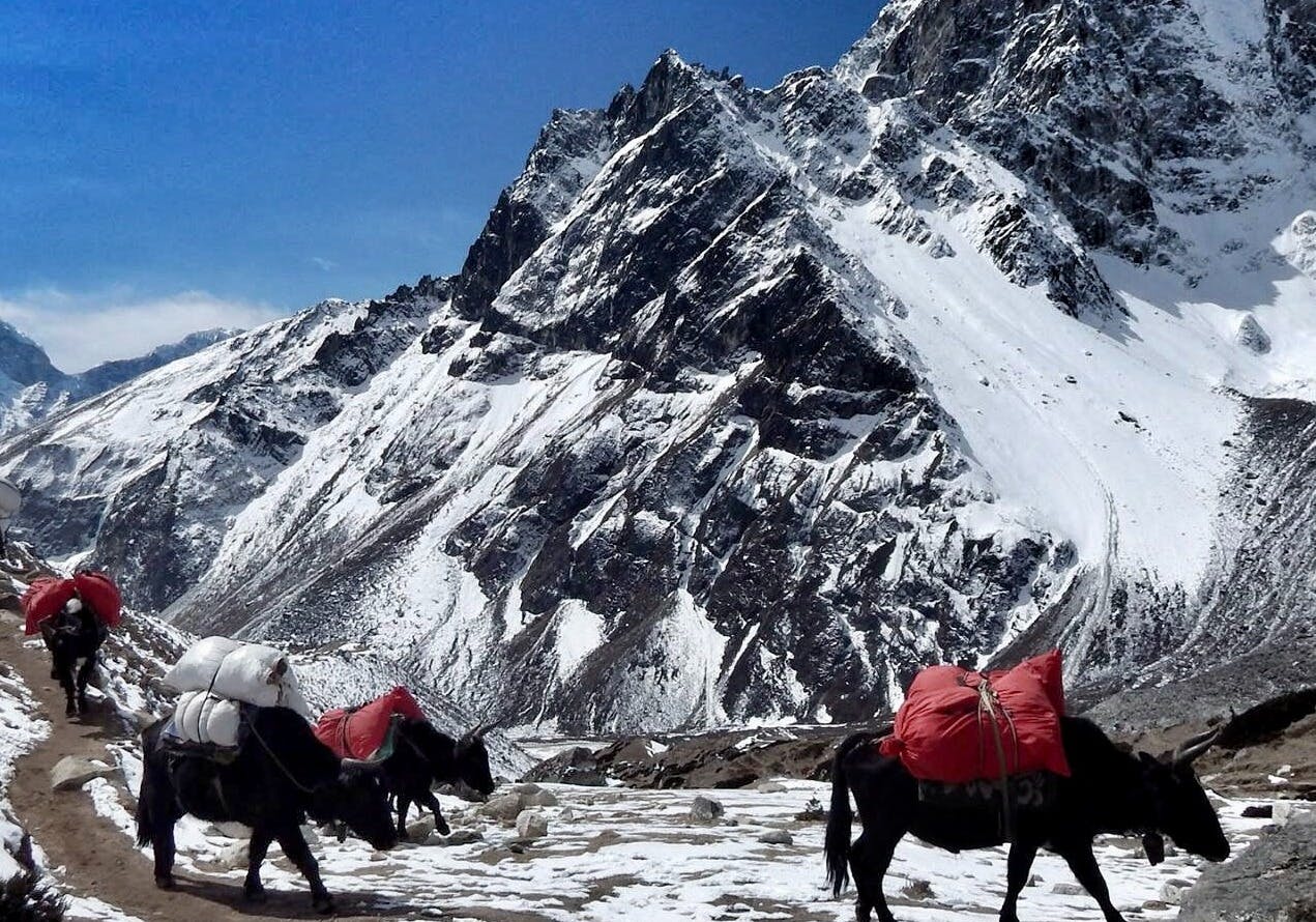 Best Time to Visit Nepal for Luxury Trekking: A Comprehensive Guide