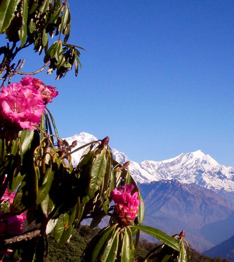 Luxury Nepal Tour with Trek, Safari and Rafting
