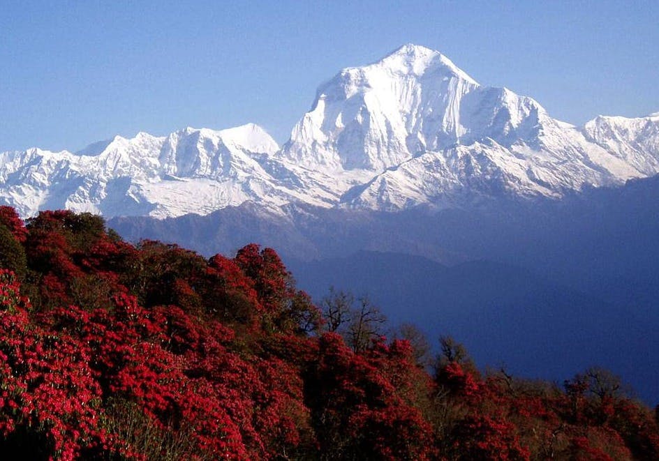 Spring Adventure Tours in Nepal: A Season of Excitement and Bloom